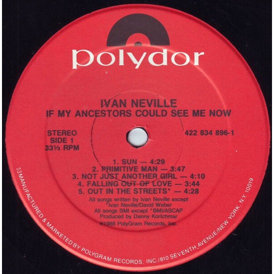 Ivan Neville - If My Ancestors Could See Me Now