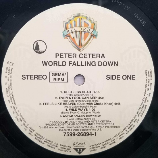 Peter Cetera - World Falling Down