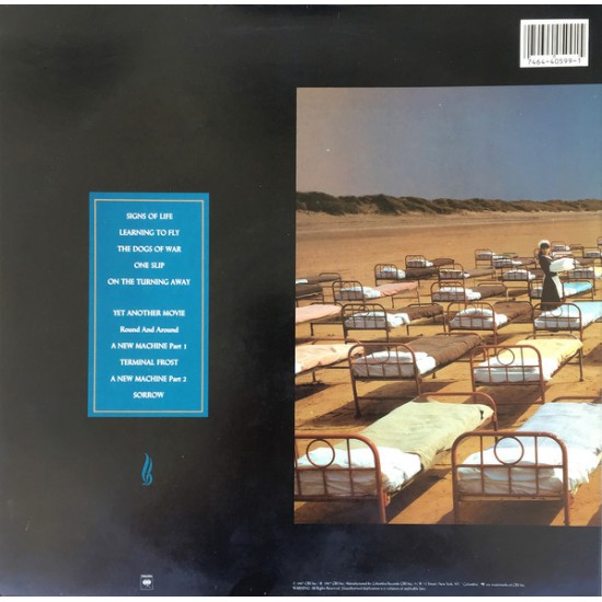 Pink Floyd - A Momentary Lapse Of Reason