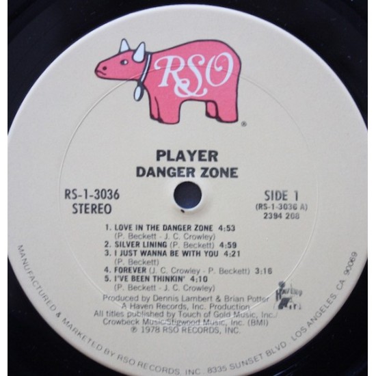 Player - Danger Zone