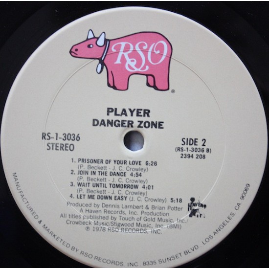 Player - Danger Zone