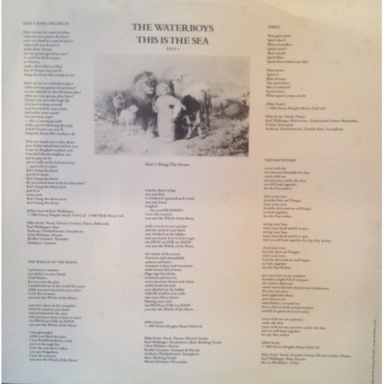 The Waterboys - This Is The Sea