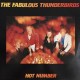 The Fabulous Thunderbirds - Hot Number