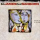 Bob James & David Sanborn - Double Vision