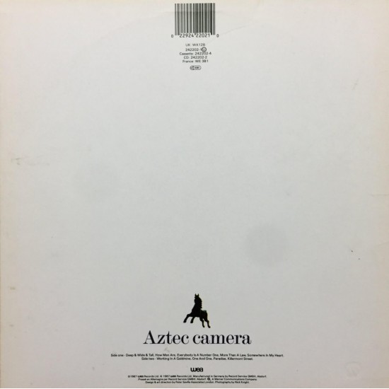 Aztec Camera - Love