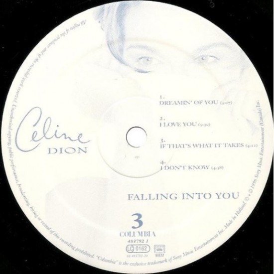 Celine Dion - Falling Into You