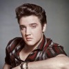 ELVIS