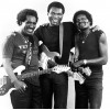 ALBERT COLLINS ROBERT CRAY JOHNNY COPELAND