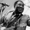 MUDDY WATERS