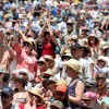 SAN FRANCISCO BLUES FESTIVAL