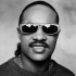 STEVIE WONDER