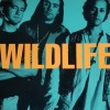 WILDLIFE BAND